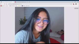 ���ैटिना गधा और बिल्ली